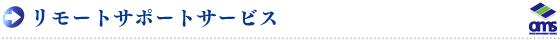 �����[�g�T�|�[�g�T�[�r�X